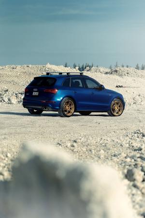 Audi SQ5 TFSI on ADV.1 Wheels (ADV06MV2CS) 2015 года 